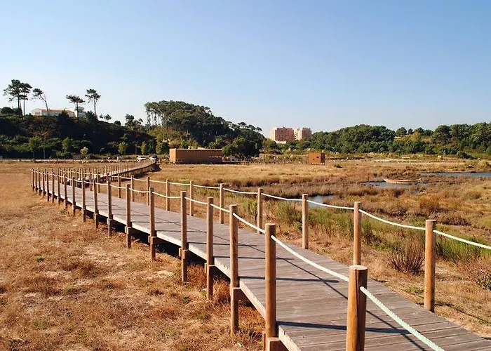 Guest house Almenara Vila Nova de Gaia